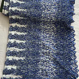 White embroidered tulle , with royal embroidery and pearls - Master