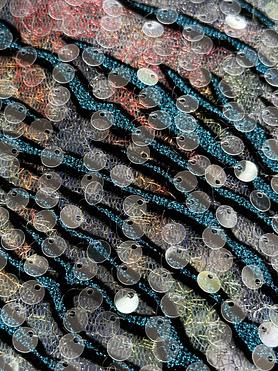 Torquoise foil stamped chantelle with clear sequins 